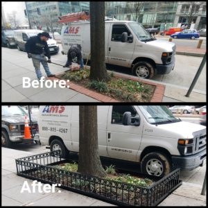 Decorative Iron Work Fencing Plays a Major Role in Protecting Your Street Tree Beds